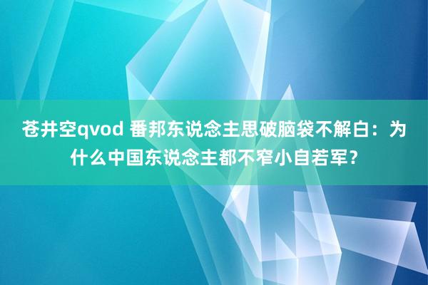 苍井空qvod 番邦东说念主思破脑袋不解白：为什么中国东说念主都不窄小自若军？