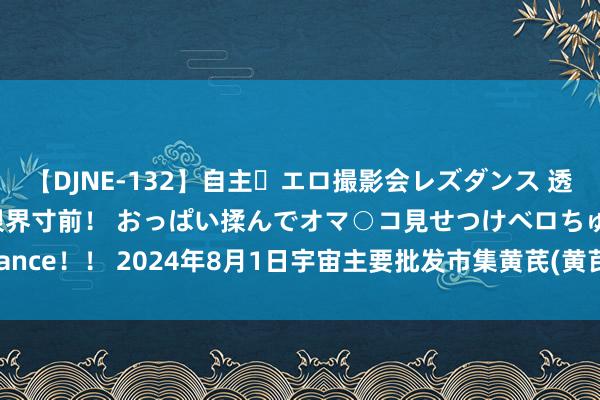 【DJNE-132】自主・エロ撮影会レズダンス 透け透けベビードールで限界寸前！ おっぱい揉んでオマ○コ見せつけベロちゅうDance！！ 2024年8月1日宇宙主要批发市集黄芪(黄芪节子0.8-1.0cm)价钱行情