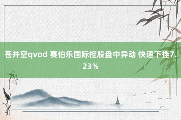 苍井空qvod 赛伯乐国际控股盘中异动 快速下挫7.23%