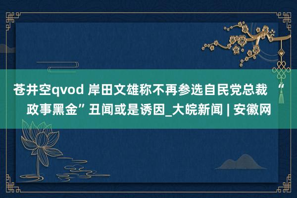 苍井空qvod 岸田文雄称不再参选自民党总裁  “政事黑金”丑闻或是诱因_大皖新闻 | 安徽网