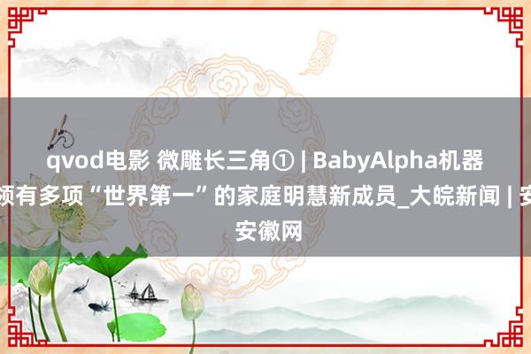 qvod电影 微雕长三角① | BabyAlpha机器狗，领有多项“世界第一”的家庭明慧新成员_大皖新闻 | 安徽网