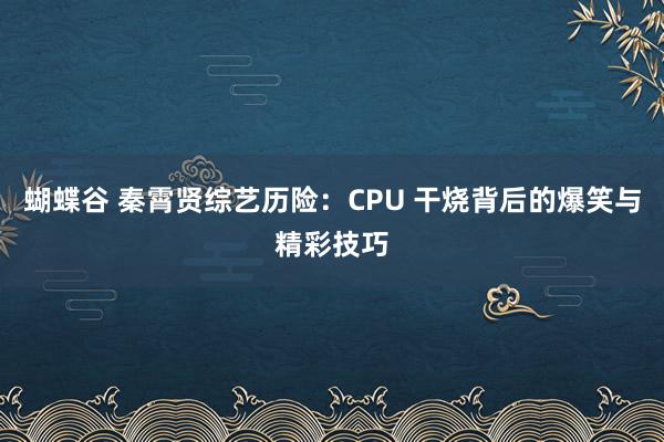 蝴蝶谷 秦霄贤综艺历险：CPU 干烧背后的爆笑与精彩技巧