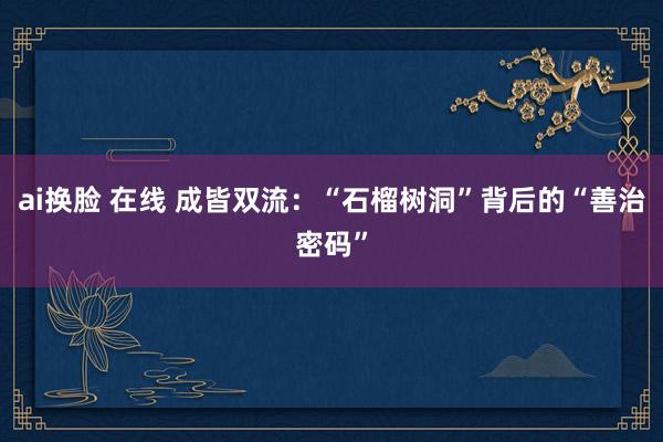 ai换脸 在线 成皆双流：“石榴树洞”背后的“善治密码”