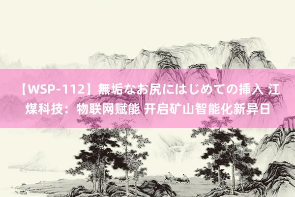 【WSP-112】無垢なお尻にはじめての挿入 江煤科技：物联网赋能 开启矿山智能化新异日