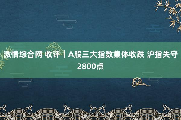 激情综合网 收评｜A股三大指数集体收跌 沪指失守2800点