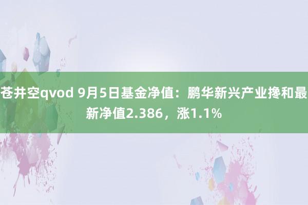 苍井空qvod 9月5日基金净值：鹏华新兴产业搀和最新净值2.386，涨1.1%