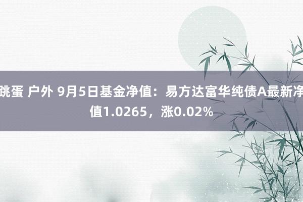 跳蛋 户外 9月5日基金净值：易方达富华纯债A最新净值1.0265，涨0.02%