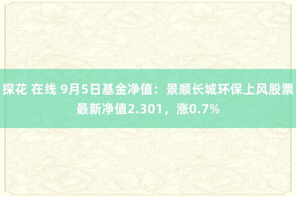 探花 在线 9月5日基金净值：景顺长城环保上风股票最新净值2.301，涨0.7%