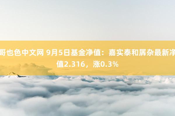 哥也色中文网 9月5日基金净值：嘉实泰和羼杂最新净值2.316，涨0.3%