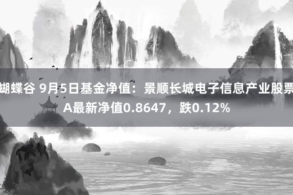 蝴蝶谷 9月5日基金净值：景顺长城电子信息产业股票A最新净值0.8647，跌0.12%