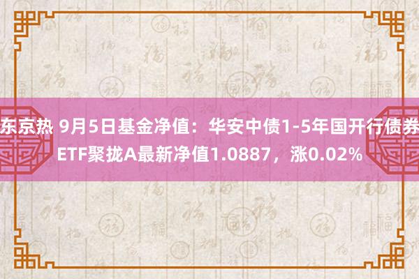 东京热 9月5日基金净值：华安中债1-5年国开行债券ETF聚拢A最新净值1.0887，涨0.02%