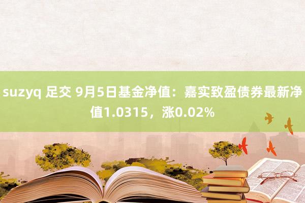 suzyq 足交 9月5日基金净值：嘉实致盈债券最新净值1.0315，涨0.02%