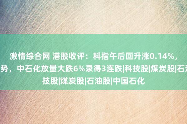 激情综合网 港股收评：科指午后回升涨0.14%，内险股全天强势，中石化放量大跌6%录得3连跌|科技股|煤炭股|石油股|中国石化