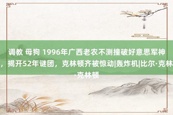 调教 母狗 1996年广西老农不测撞破好意思军神秘，揭开52年谜团，克林顿齐被惊动|轰炸机|比尔·克林顿